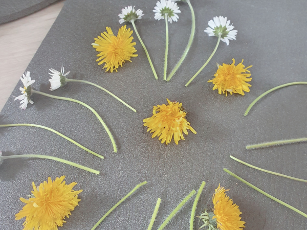Mandala en Yoga Enfants